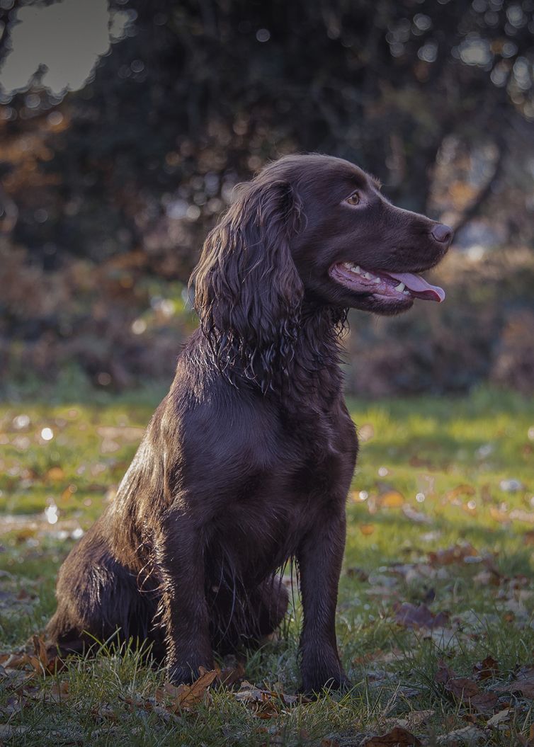 James Turner Photography -
